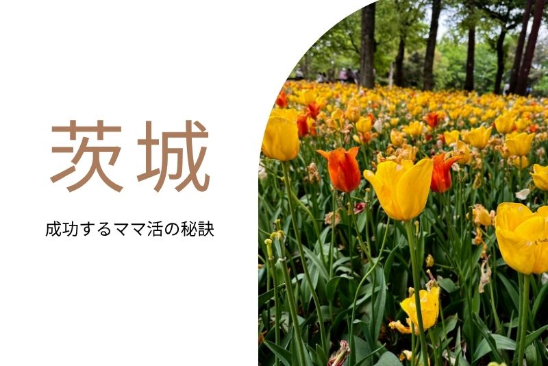 ママ活 茨城